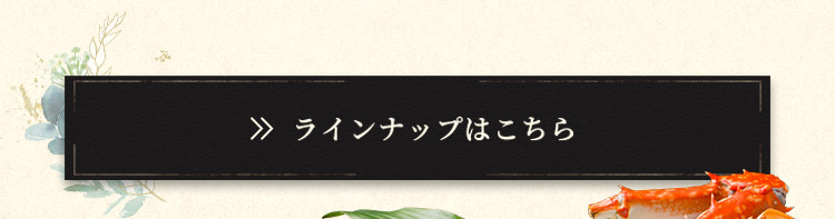 ラインナップはこちら