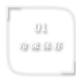 冷凍保存
